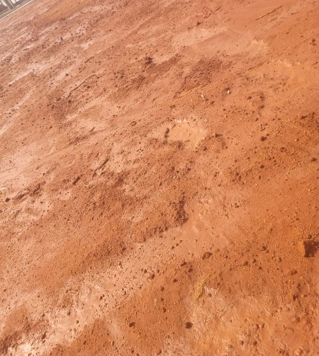 red soil