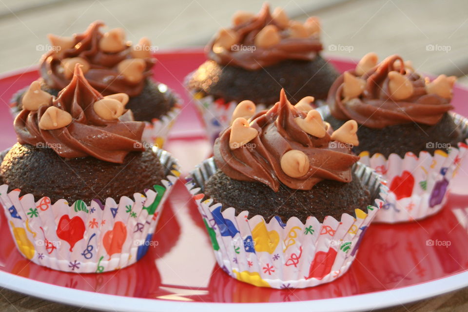 Chocolate Cupcakes 