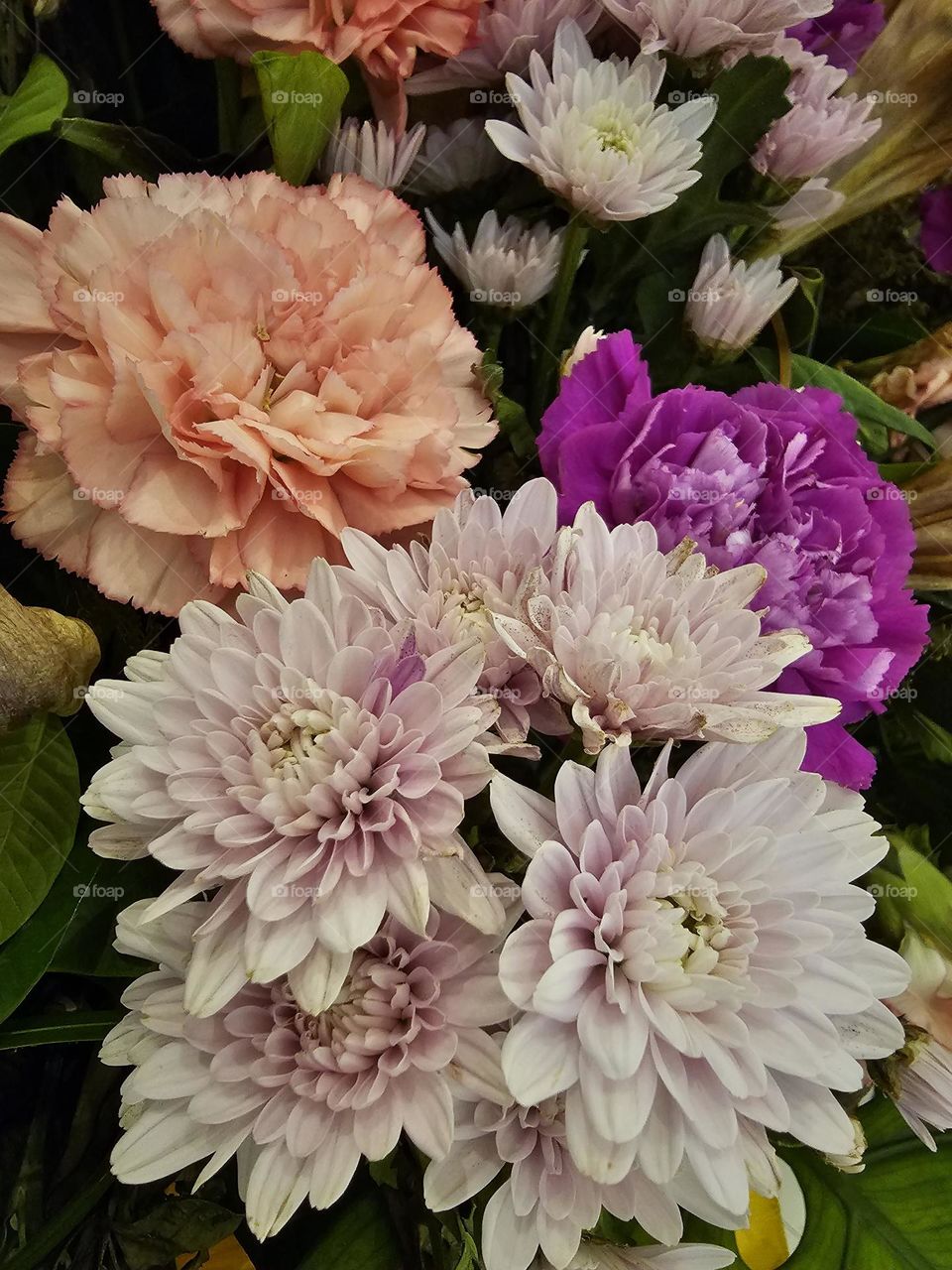 Chrysanthemums and Carnations