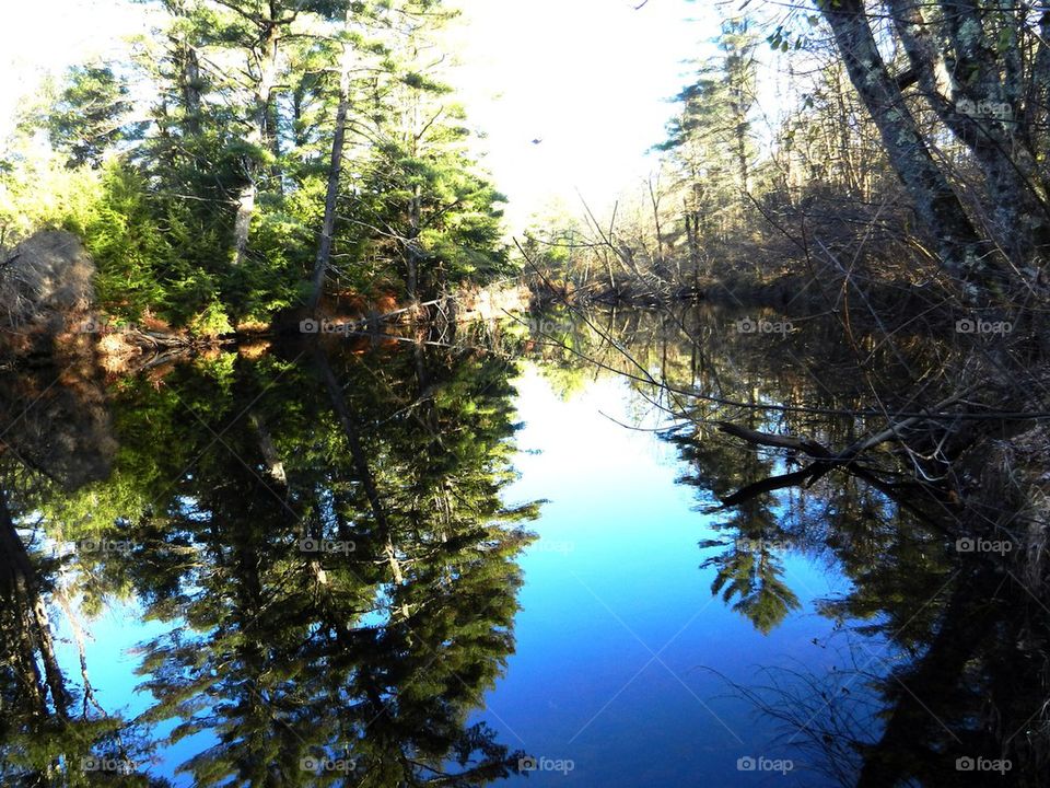 River Reflection