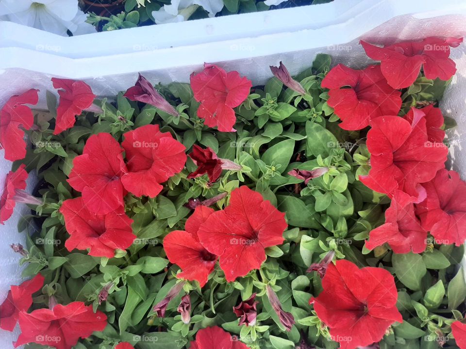 Please make me happy, I am poor, I need your help with support