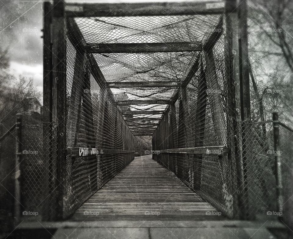 bridge