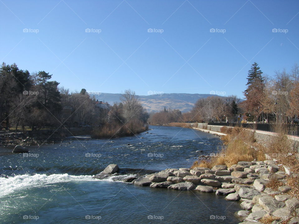 A view of a river
