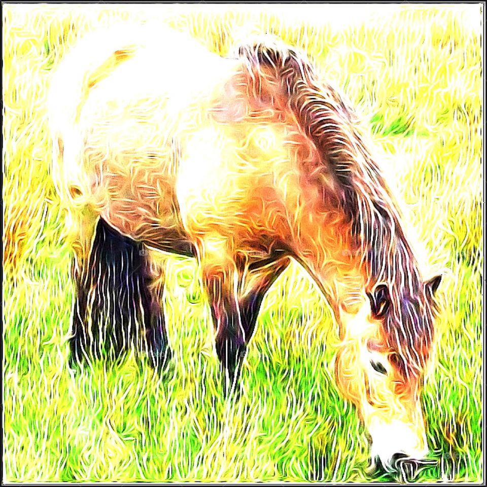 Exmoor pony wild in UK original artwork - Exmoor heather-