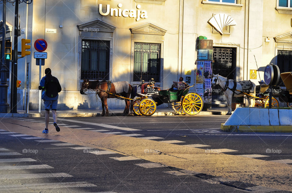 man crossing the street in Malaga and coach with horses 