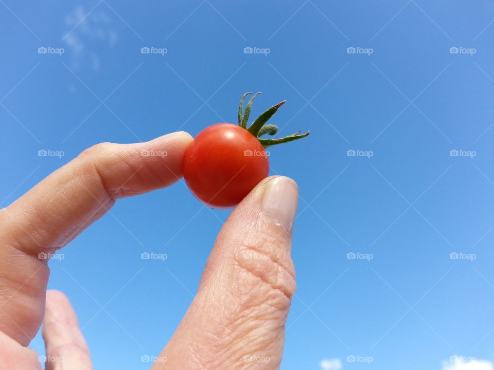 cherry tomatoe. ripe