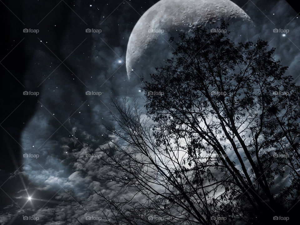 sky tree night silhouette by txmxr