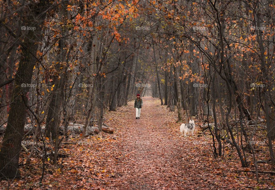 Girl walks the dog at the autumn forest