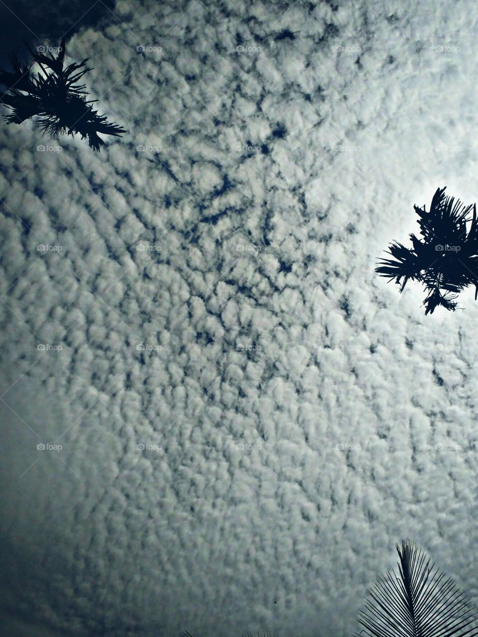 cloud pattern
