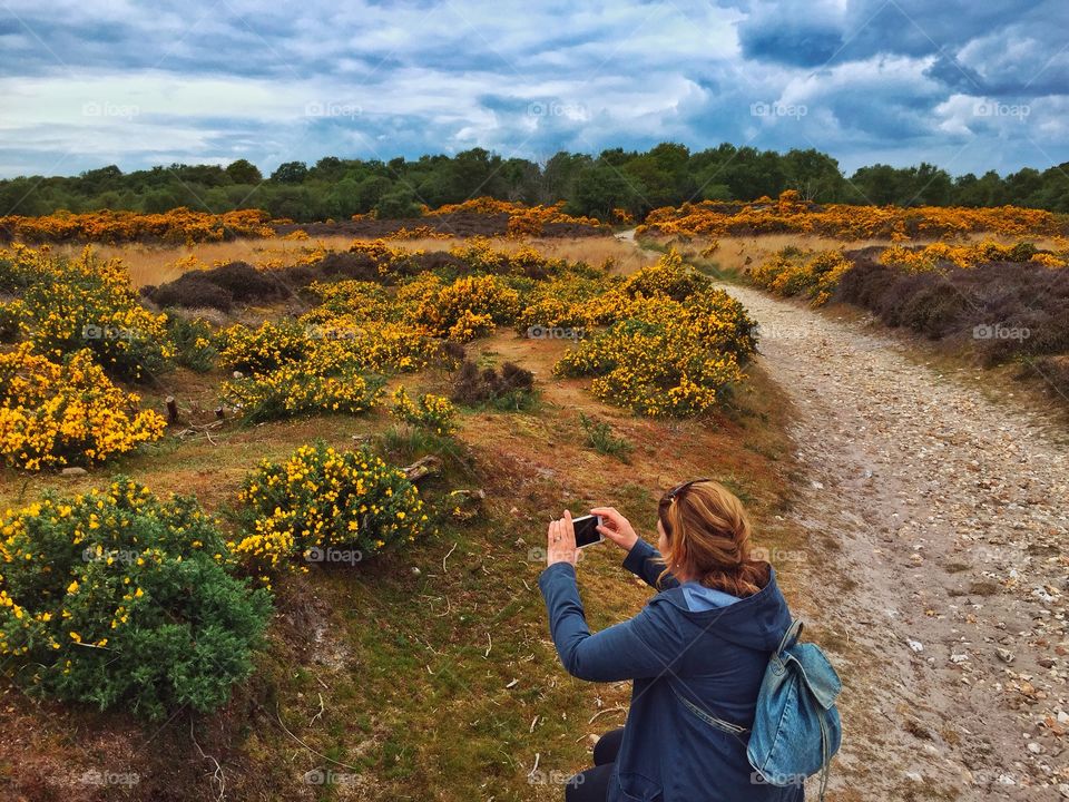 A Conservationist Photographing Heath Land