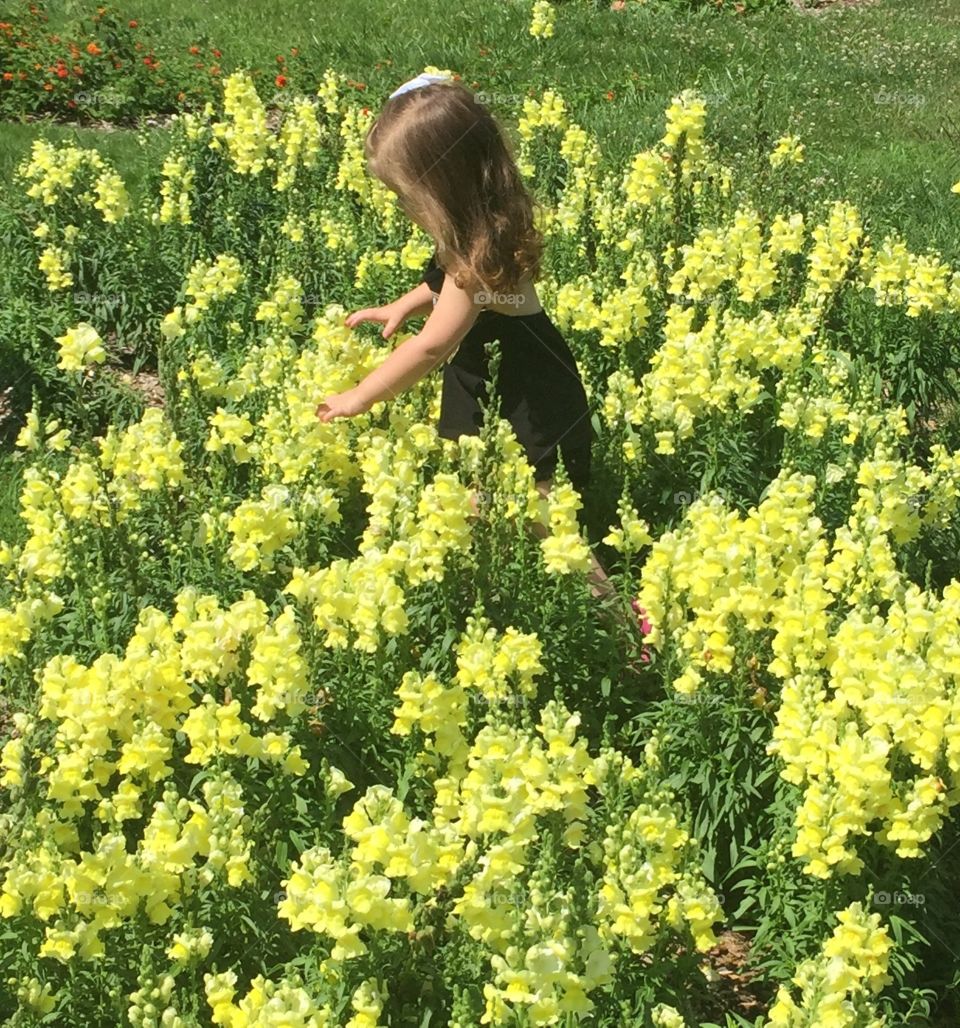 My baby sister is having some fun playing with flowers