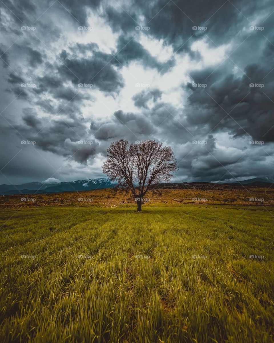 sometimes you need to be alone to see the view