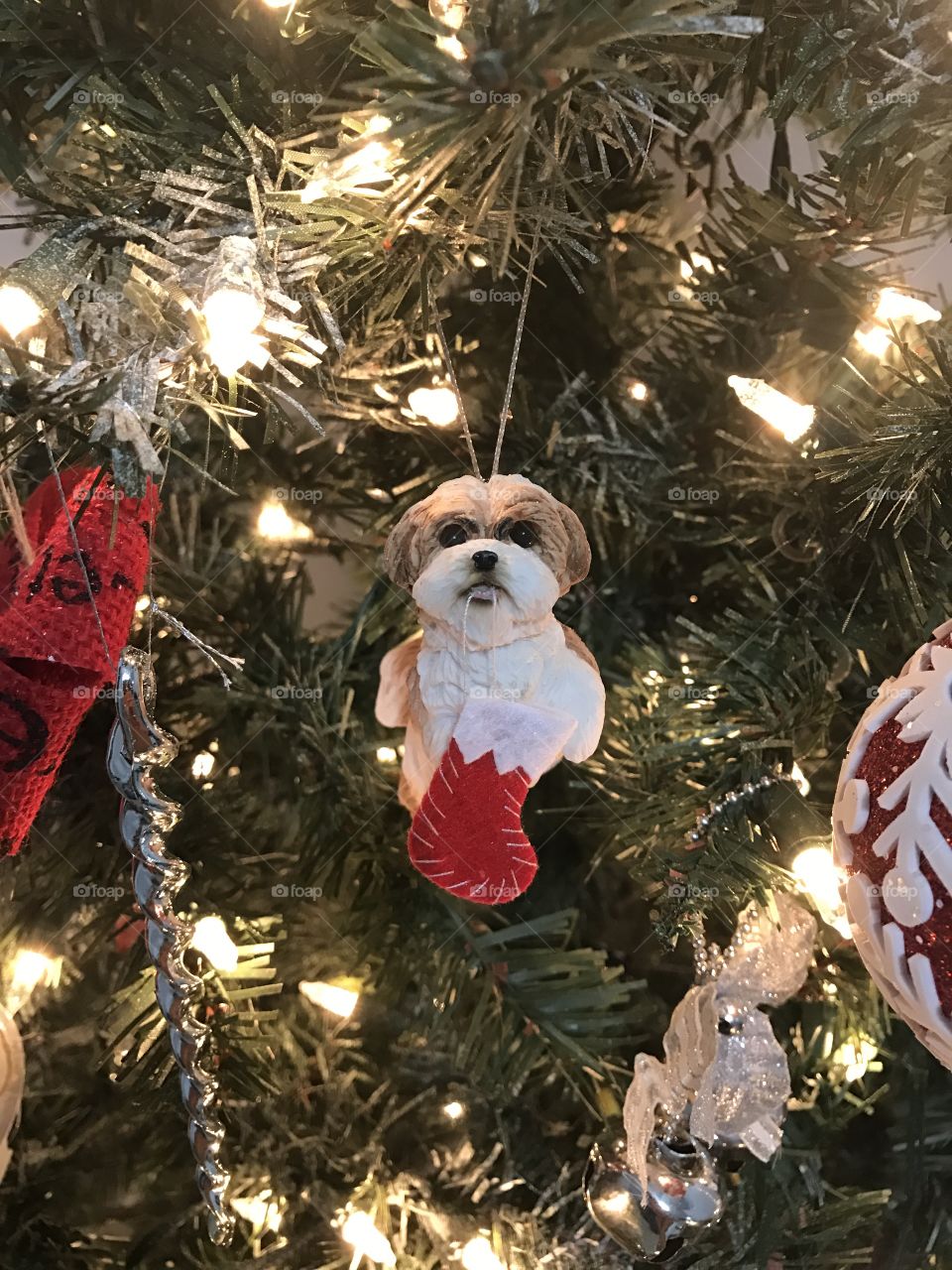 Christmas ornament
