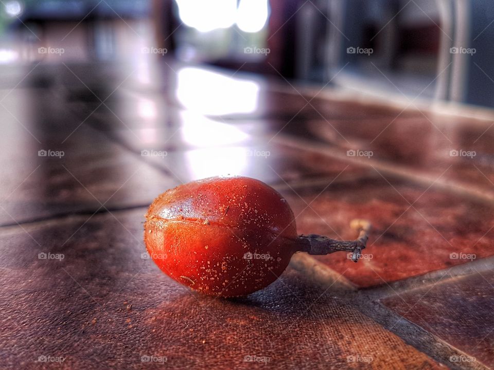 Seed fallen from the tree outside as the sun was setting.