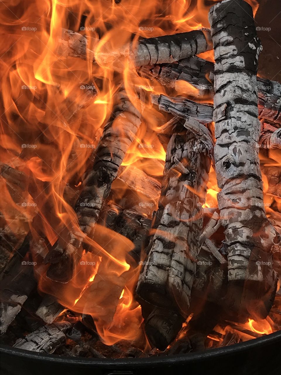 Close up log fire