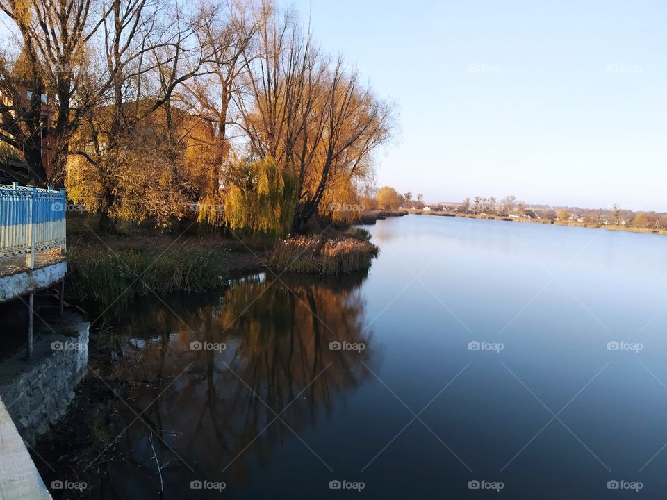 Pond, Ukraine 🇺🇦