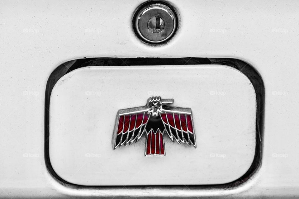 Ford Thunderbird auto emblem on white classic model