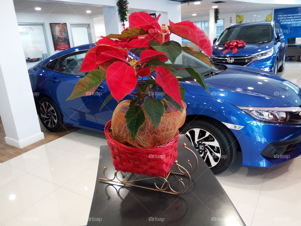 Car, Vehicle, Exhibition, Transportation System, Automotive