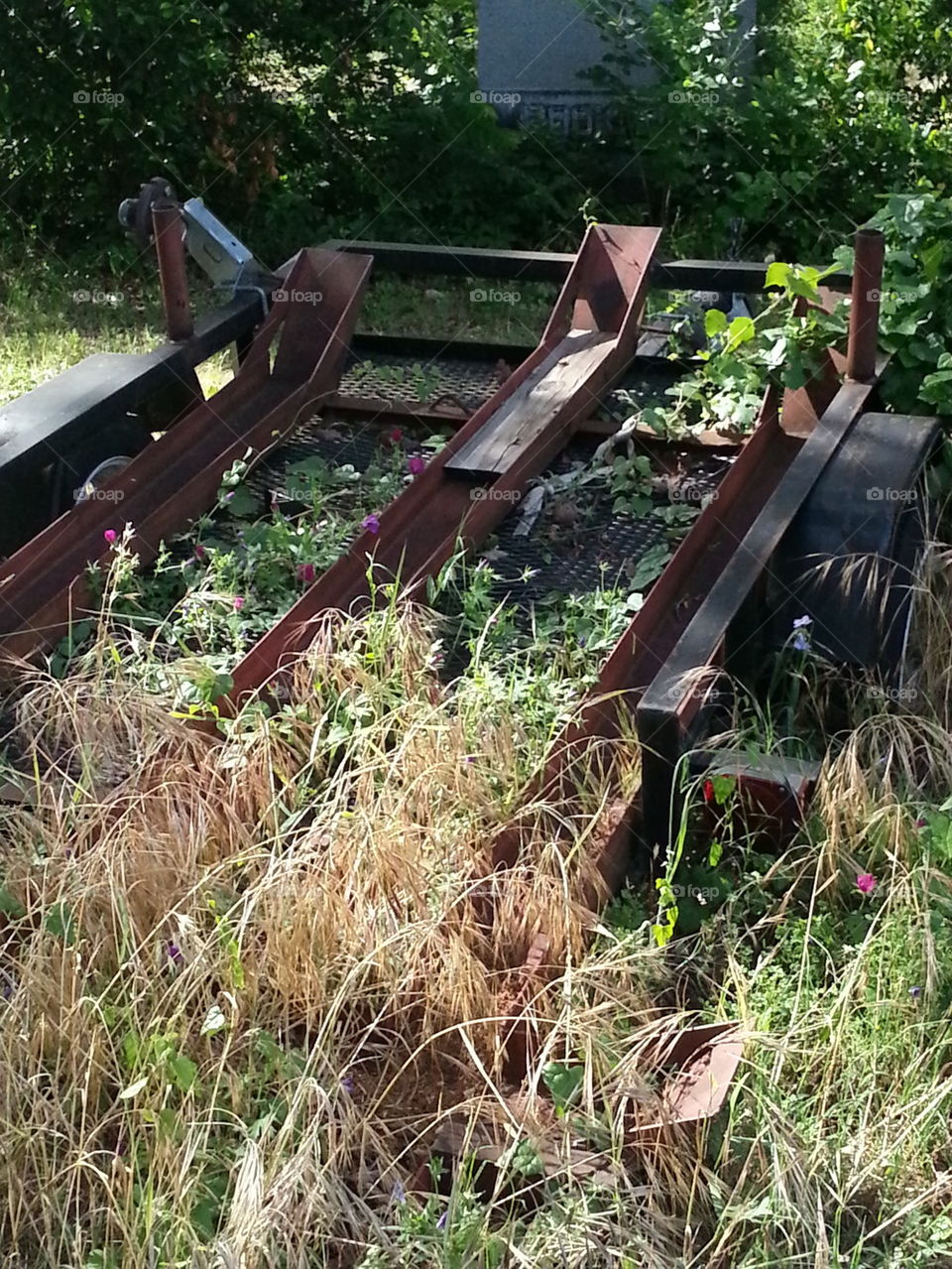 Rusted Trailer forgotten