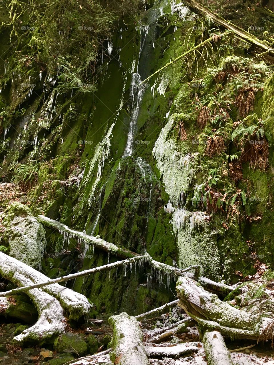 Frozen waterfall 