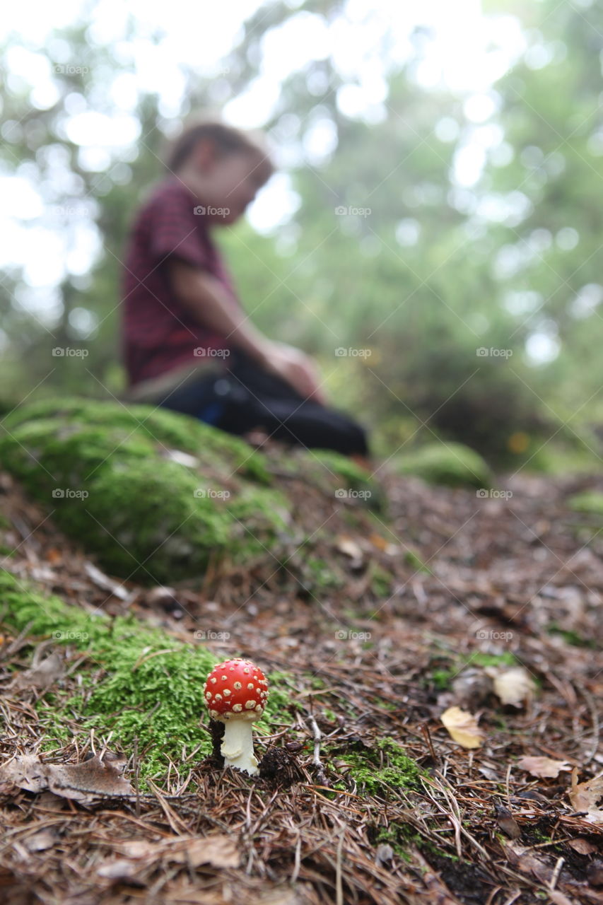 Child out in the woods