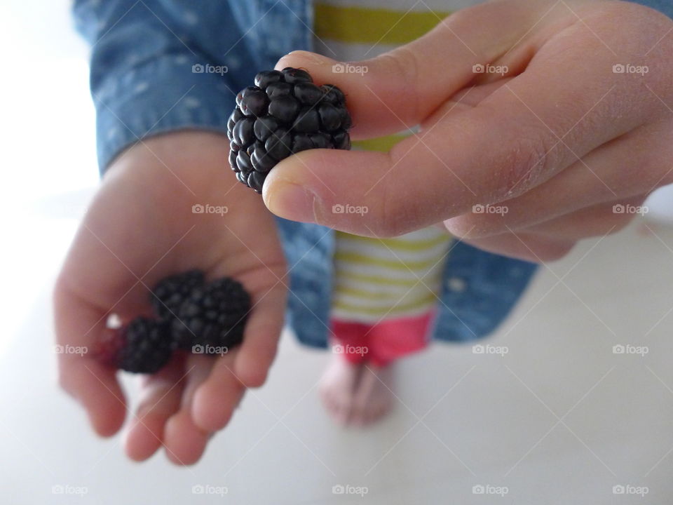 child holding single blackberry while holding more in other hand