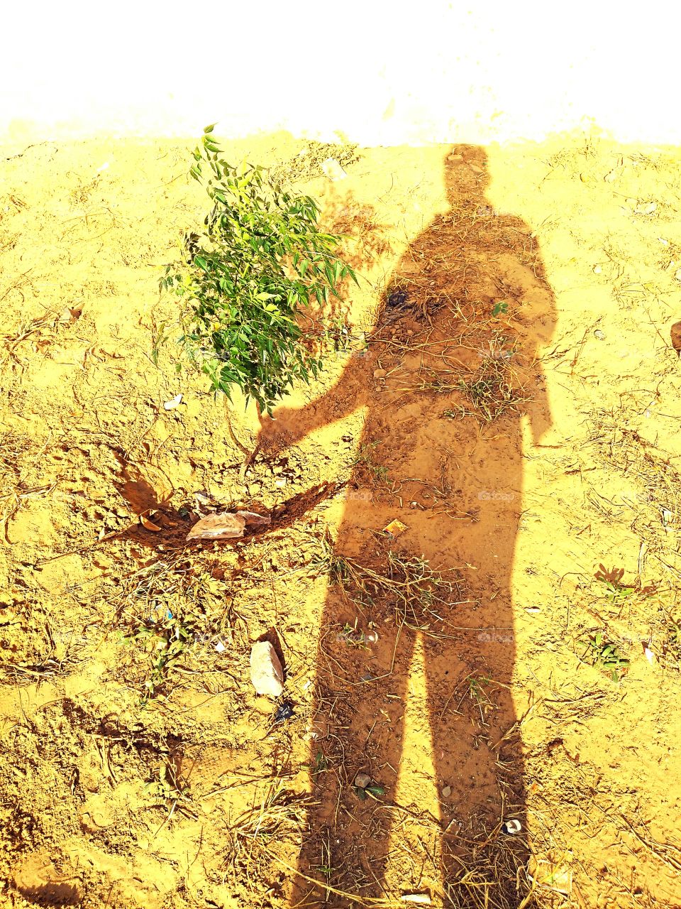 Man`s shadow on the ground