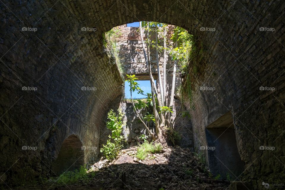 "Coming through"

http://www.picardo.photography/Portfolio/Street-photography/i-PtCLJCF/A

Nature coming through the ruins of the main building in the Cuñapirú Dam, at the limits between Tacuarembó and Rivera, Uruguay.