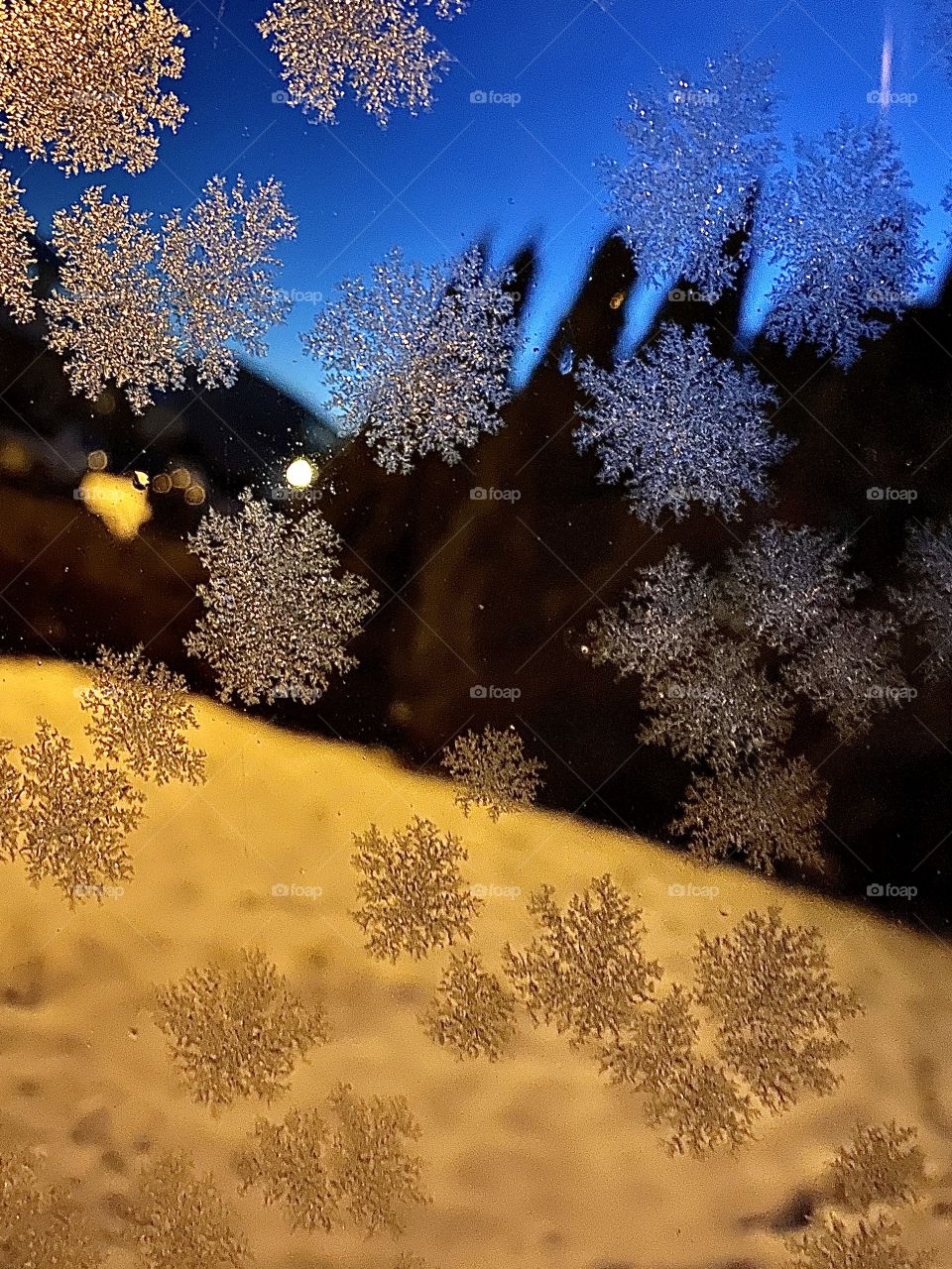 Winter, Snow, Frost, Christmas, Tree