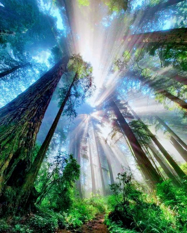 Magical nature