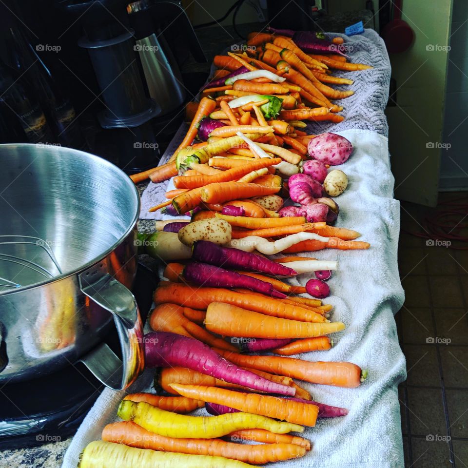 Carrot Harvest