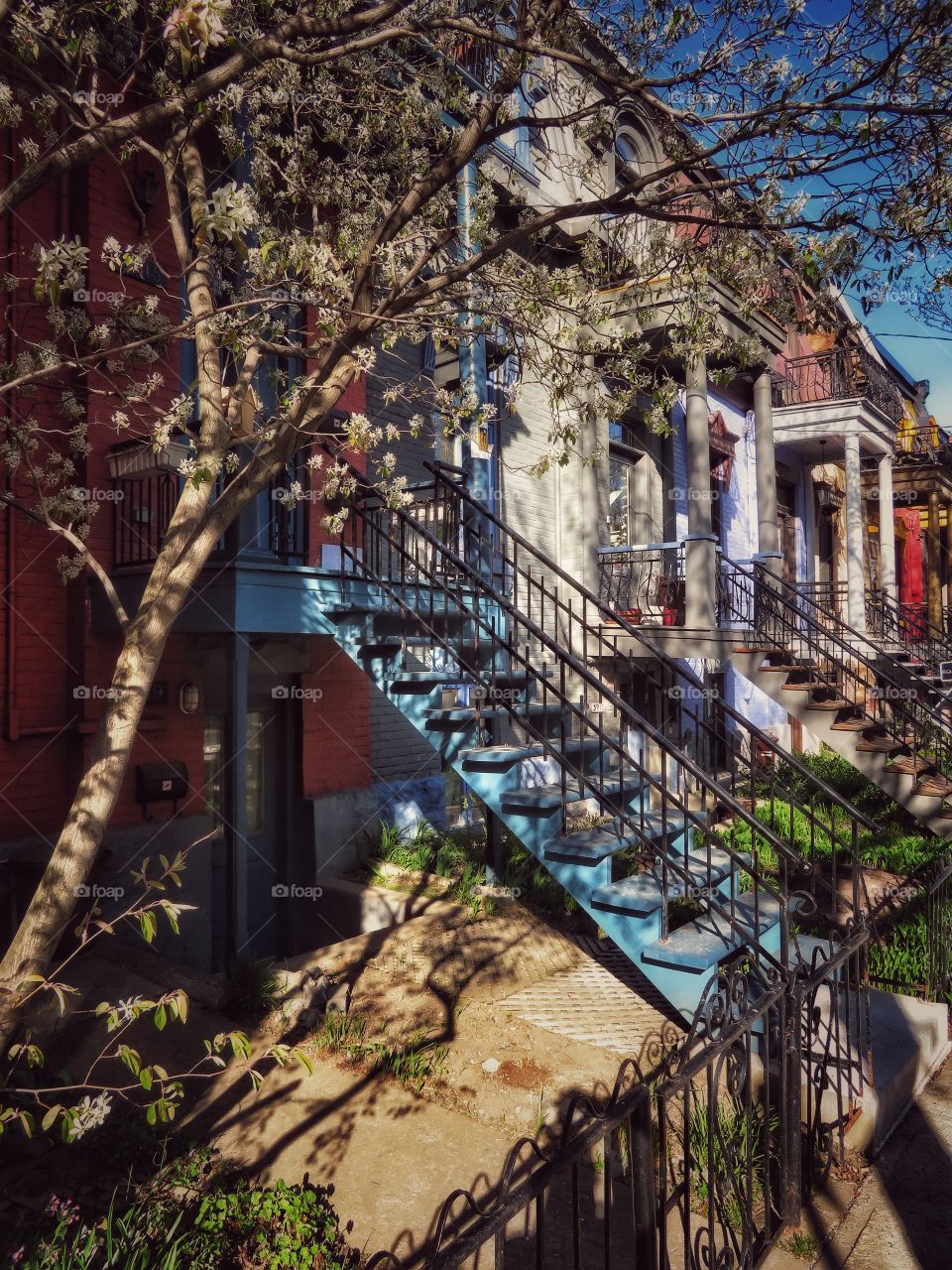 Montreal Le Plateau Mont Royal neighbourhood 