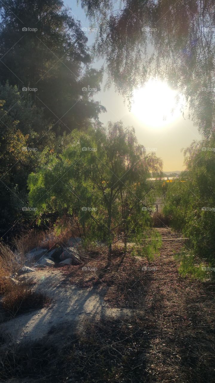 California Christmas Outdoors Nature Park Orange County Foliage Woods Trees Bushes Mountain Stream Lake Water Wind Love Hope Cancer Awareness Support Sky Hiking Trails Sun Moon Clouds Brush Fire Safety Sports Fun Relaxation Resort