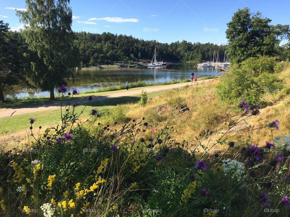 Summer by the lake