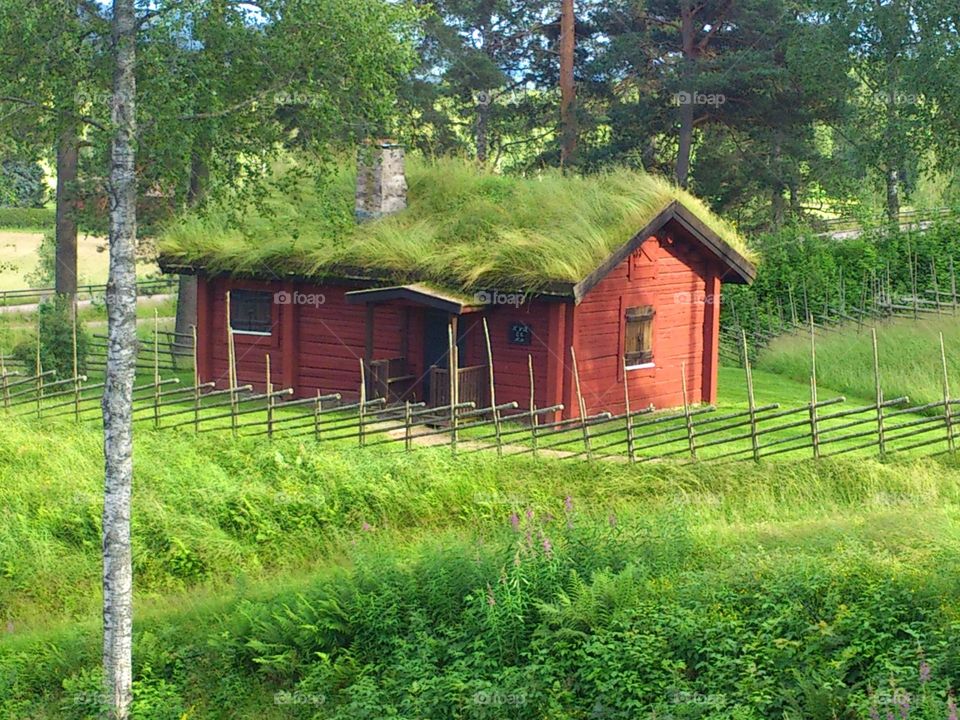 Red old cottage with grassroof