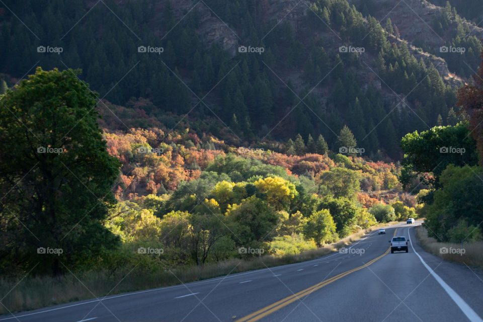 Fall colors in Utah 