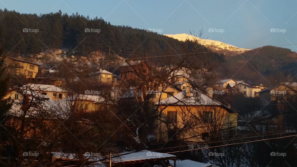 Winter, Tree, Landscape, House, Snow