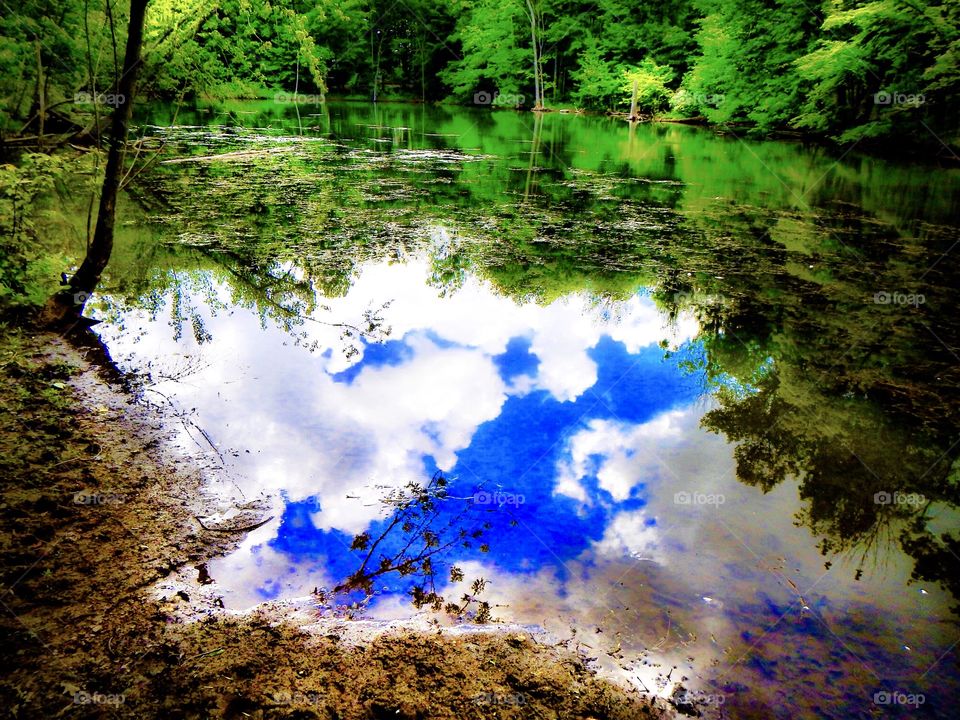 Beautiful view of the lake. 