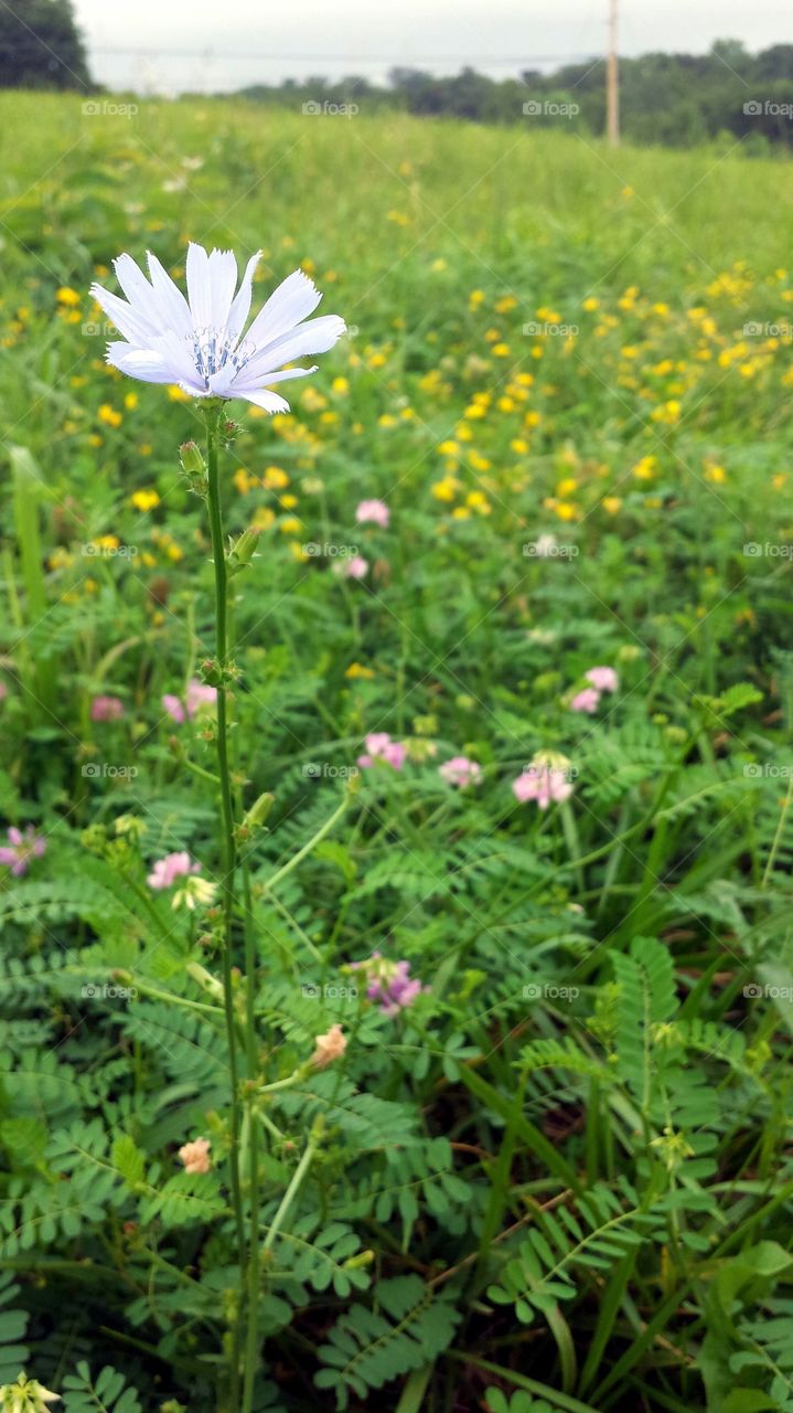 Reaching for the Sky