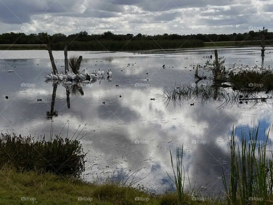 Reflections of a cloudy sky