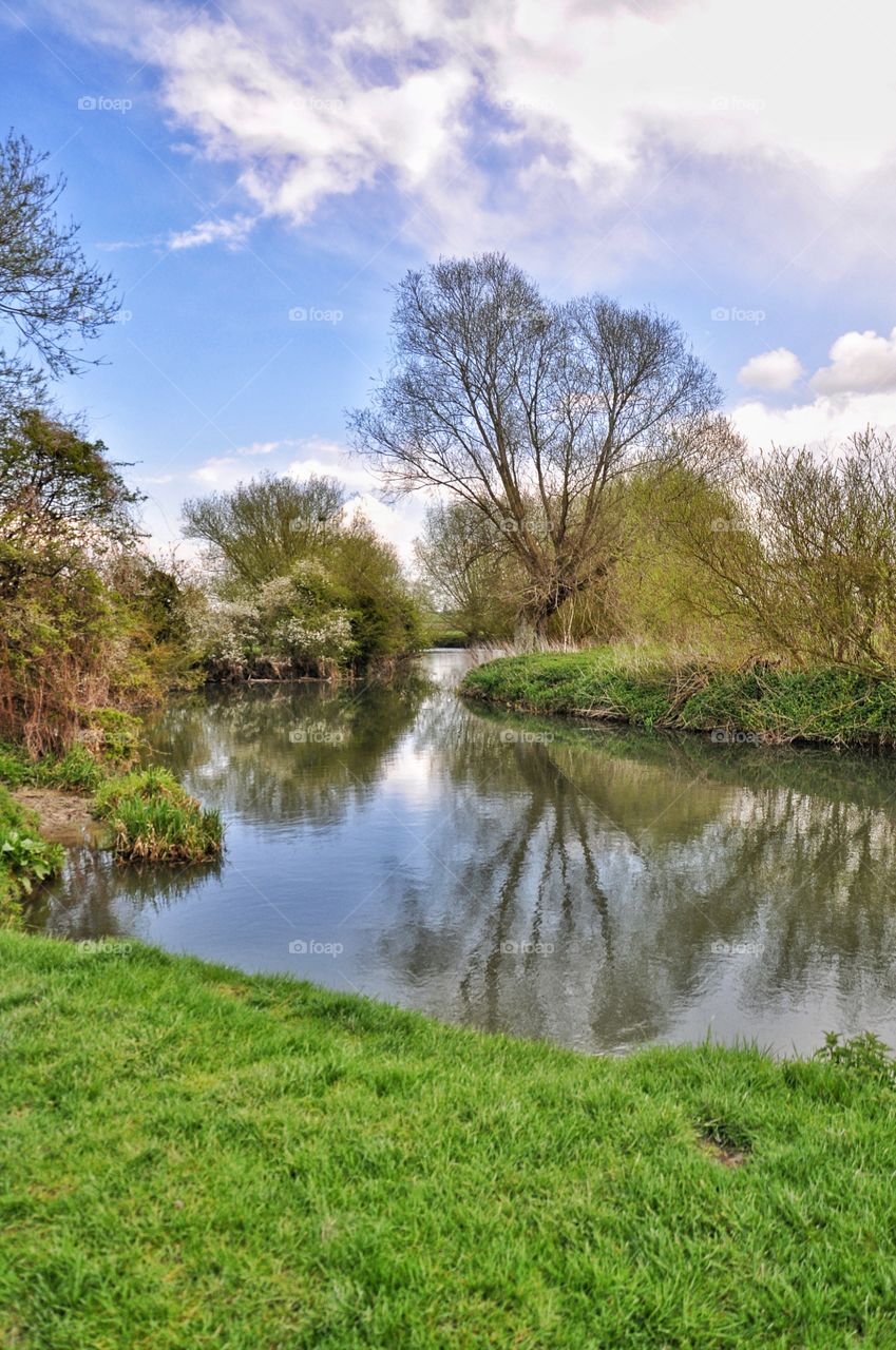 Landscape, Grass, Nature, Tree, Water