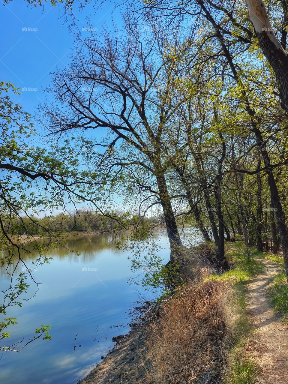 Peaceful river trail