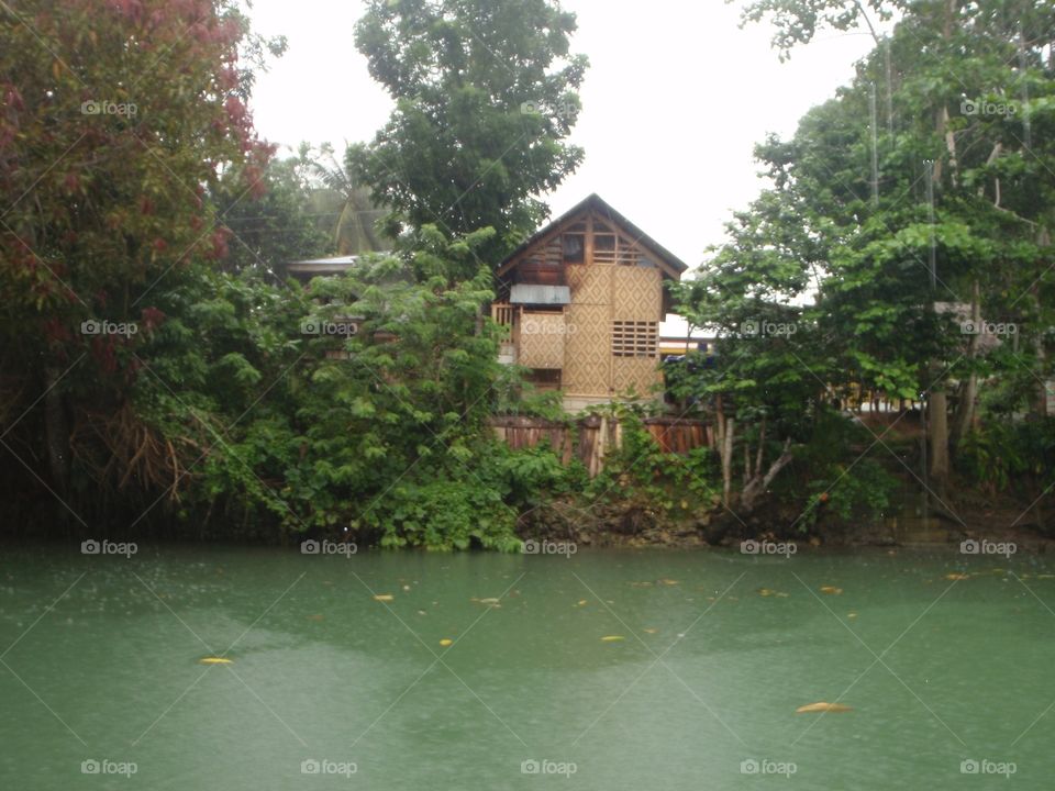 Tree, Water, No Person, Outdoors, House