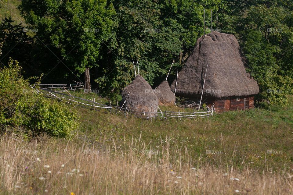 Traditional rural house 