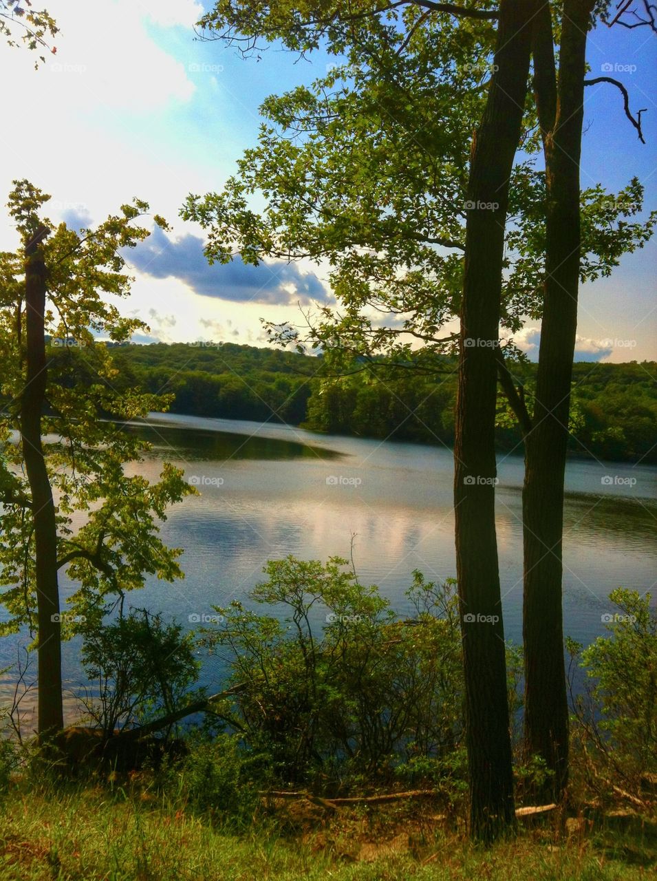 Landscape view of the best lake ever. Loving this weather 