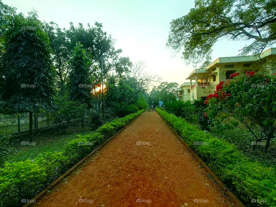Beautiful Greenery Garden captured, a complete relaxation of mind.