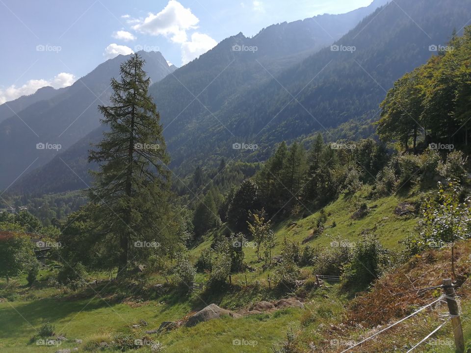 Vicino a lago delle fate, IT