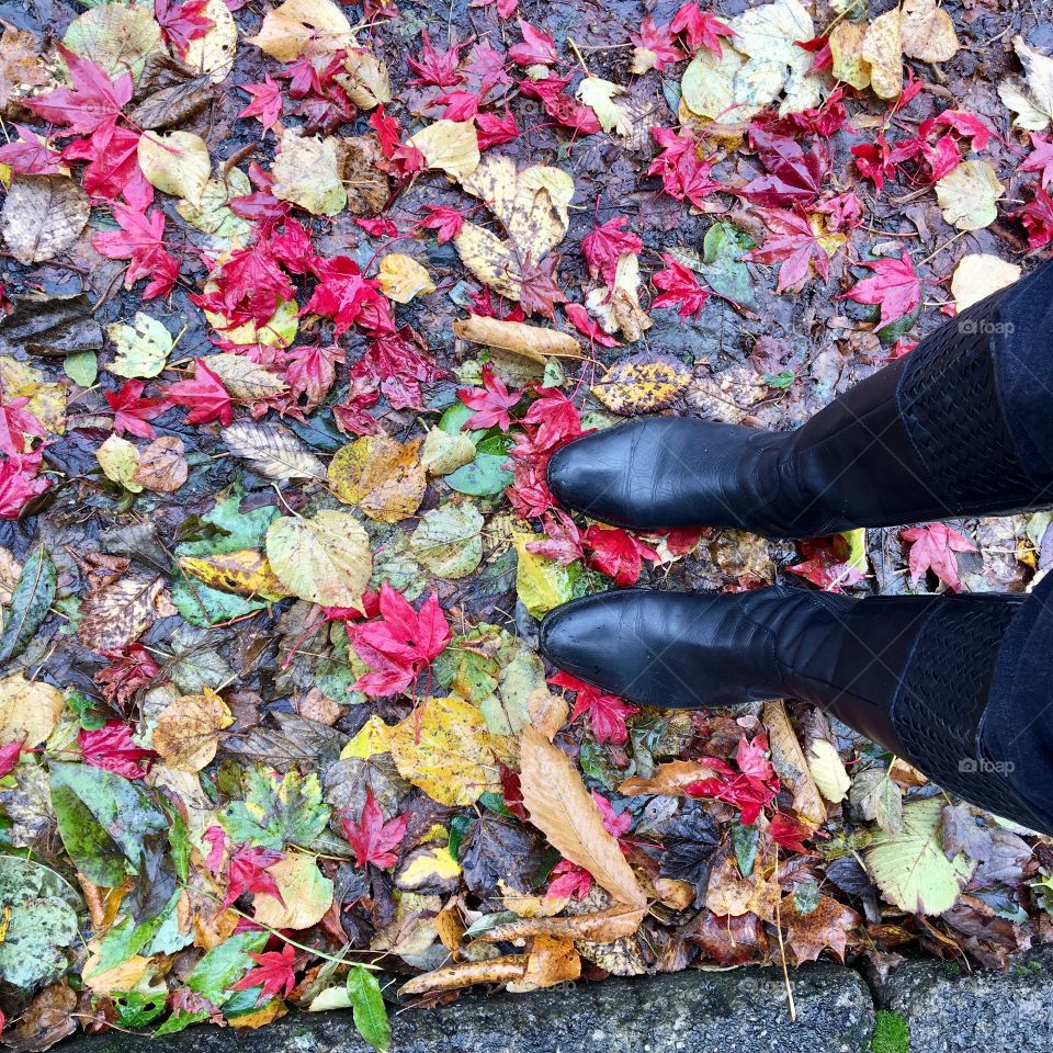 Black boots standing in a pile of colourful Autumn leaves 