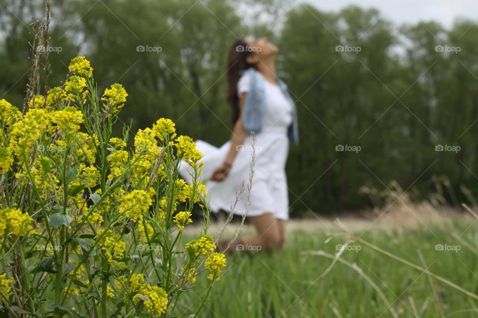 Nature, Grass, Field, Summer, Flower