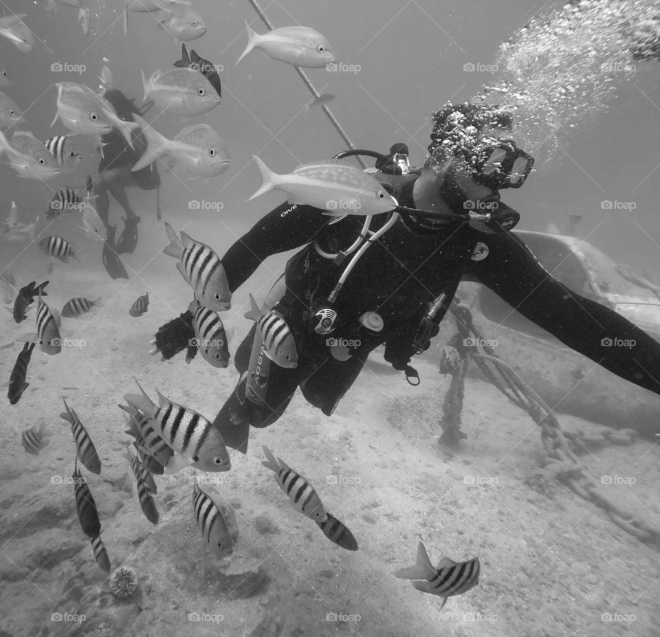 Monochromatic Scuba Diver With Fish, Scuba Diving With Fish, Scuba Diving In St. Maarten, St. Martin Tourism, Underwater Photography 